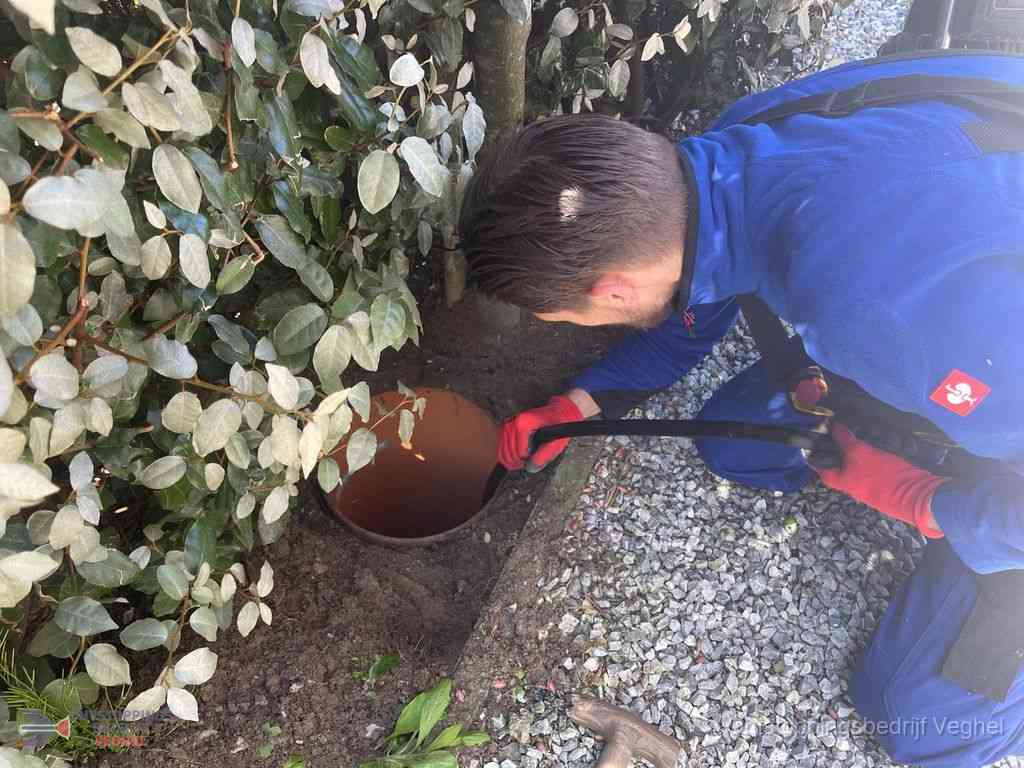 Rioolvliegjes Veghel Rioolvliegjes Veghel